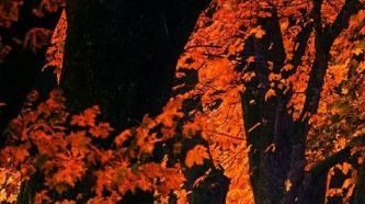 Cette information biblique importante indique que ce jour du 10 Ethanim (Tishri) (mois du calendrier biblique) de la grande tribulation, correspondra au passage du solstice d’été à l’équinoxe d’automne (début de l’hiver dans la Bible), soit un 22 septembre après le coucher de soleil (été) et en même temps, la journée du 23 septembre (automne 